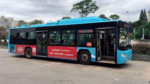 3路公交车爆料新闻最新,最新爆料揭示惊心动魄一幕